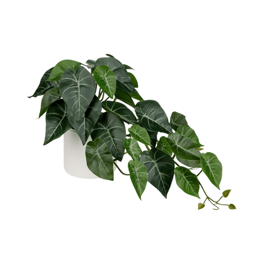 Artificial Alocasia Amazonica Polly Plant