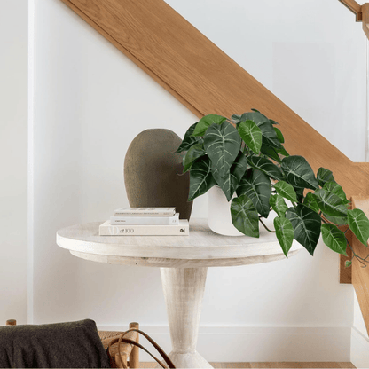 Artificial Alocasia Amazonica Polly Plant