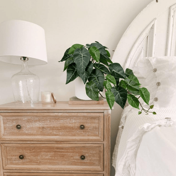 Artificial Alocasia Amazonica Polly Plant