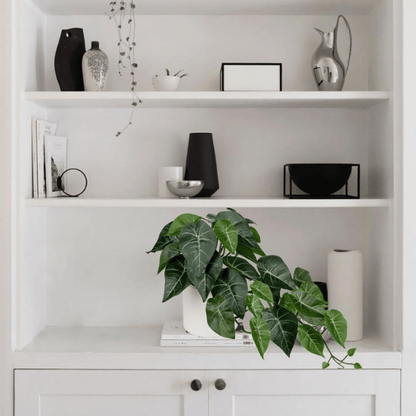 Artificial Alocasia Amazonica Polly Plant