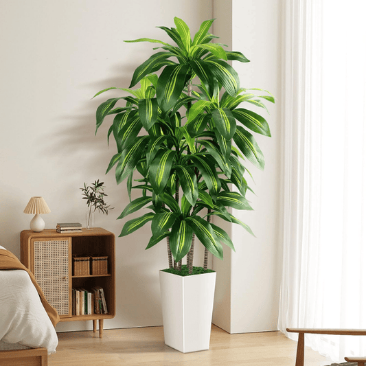 5FT Artificial Dracaena Tree with White Planter