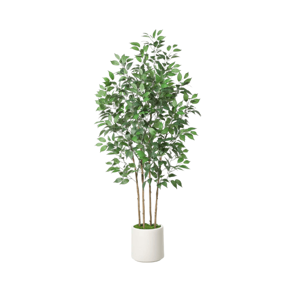 6FT Artificial Ficus Tree with White Planter