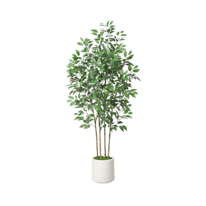 6FT Artificial Ficus Tree with White Planter