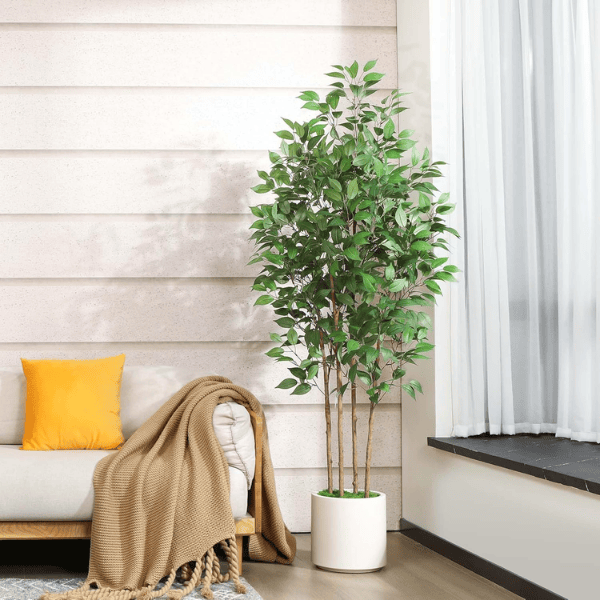 6FT Artificial Ficus Tree with White Planter