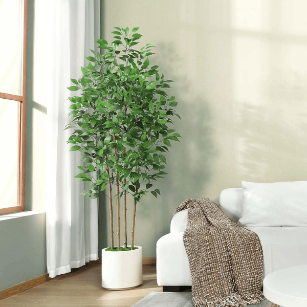 6FT Artificial Ficus Tree with White Planter
