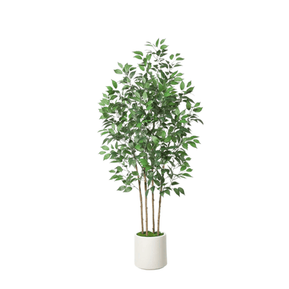 6FT Artificial Ficus Tree with White Planter