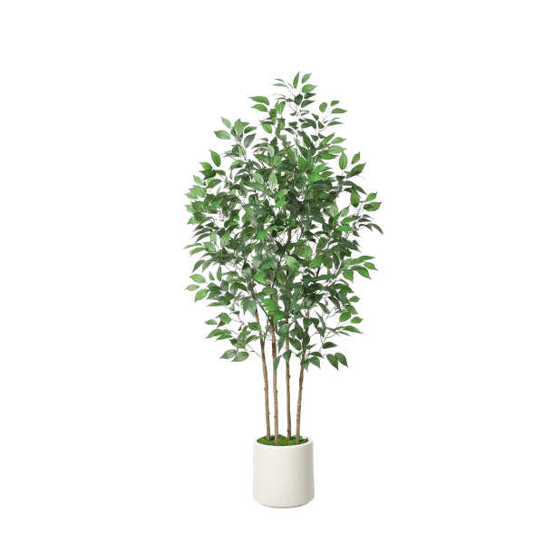 6FT Artificial Ficus Tree with White Planter