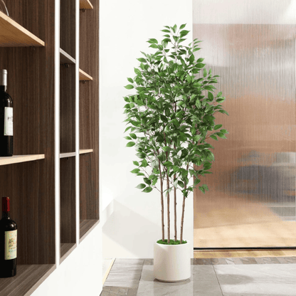 6FT Artificial Ficus Tree with White Planter