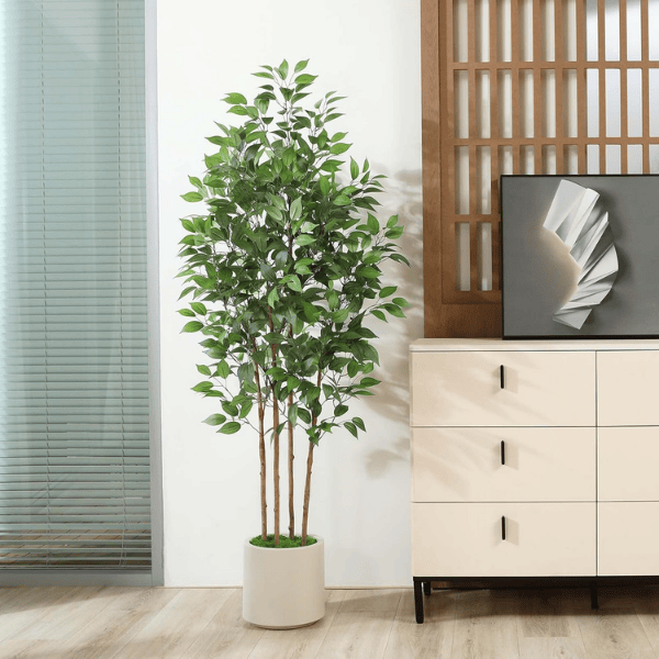 6FT Artificial Ficus Tree with White Planter