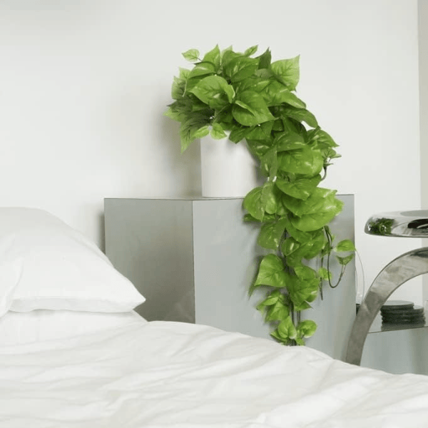 32" Realistic Artificial Pothos Ivy Plant