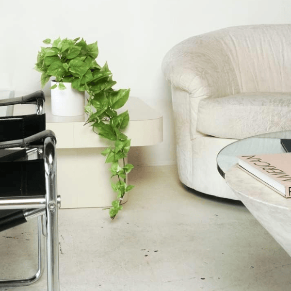 32" Realistic Artificial Pothos Ivy Plant