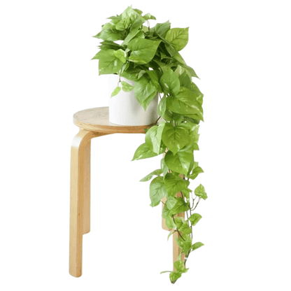 32" Realistic Artificial Pothos Ivy Plant