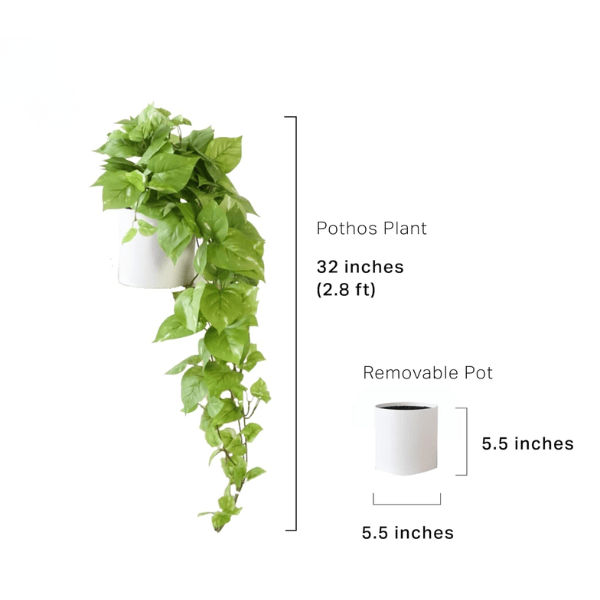 32" Realistic Artificial Pothos Ivy Plant