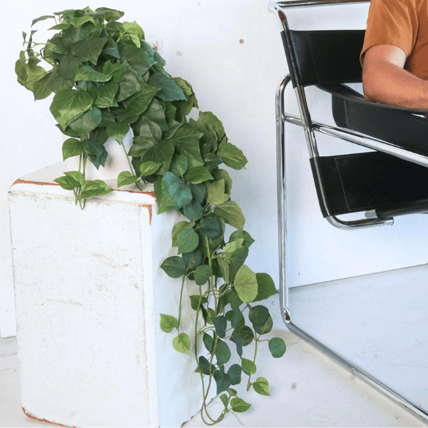 32" Realistic Artificial Pothos Ivy Plant