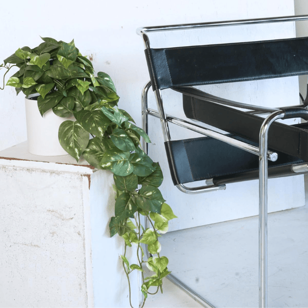 32" Realistic Artificial Pothos Ivy Plant