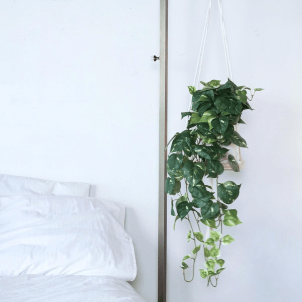 32" Realistic Artificial Pothos Ivy Plant