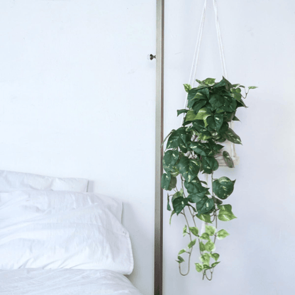 32" Realistic Artificial Pothos Ivy Plant